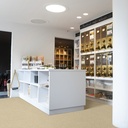 STRONG PLUS PROXI 239L 4000