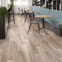 STRONG PLUS TOLEDO 6182 0500