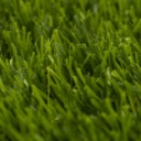 YACINA 6154 MOSS/PEAR 1000