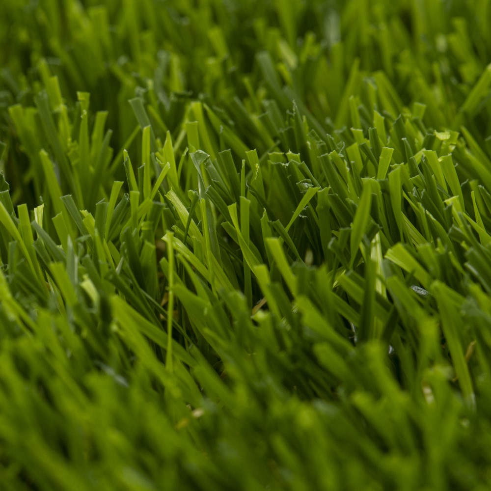 YADIRA 6155 GRASS/OLIVE 2000