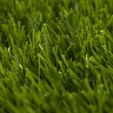 YADIRA 6155 GRASS/OLIVE 2000