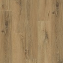OCEAN 8V4 B4107 GYANT NATURAL (2,20250)