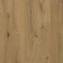 OCEAN 8V4 B4124 GYANT WARM NATURAL (2,2025)