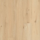 OCEAN XL 8V4 B1121 GYANT XL SAND NATURAL (2,9469)
