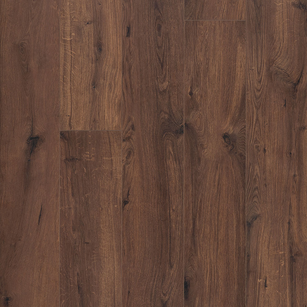 OCEAN XL 8 V4 B1125 GYANT XL WARM BROWN / 2,9469