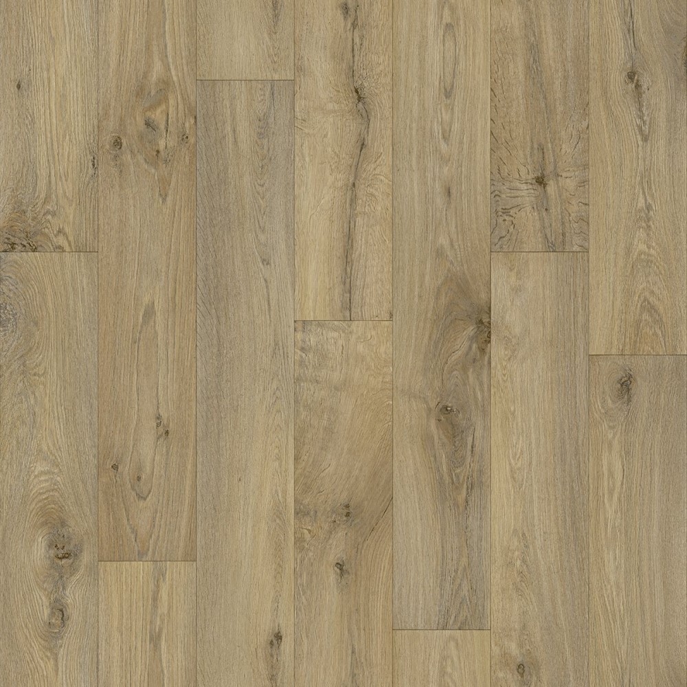 FLEX VERO 346M 2500