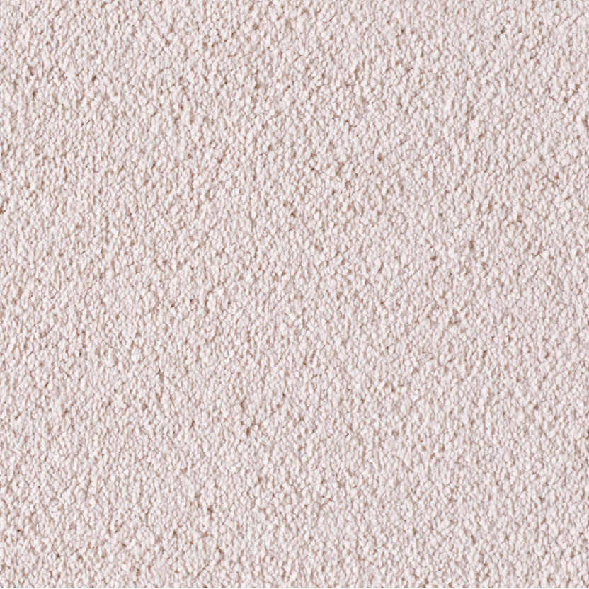 CASHMERE 431 BALLET SLIPPER 3000