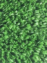 TURFGRASS PRO MULTISPORT  (SUNJ-PG00055) GREEN 4000
