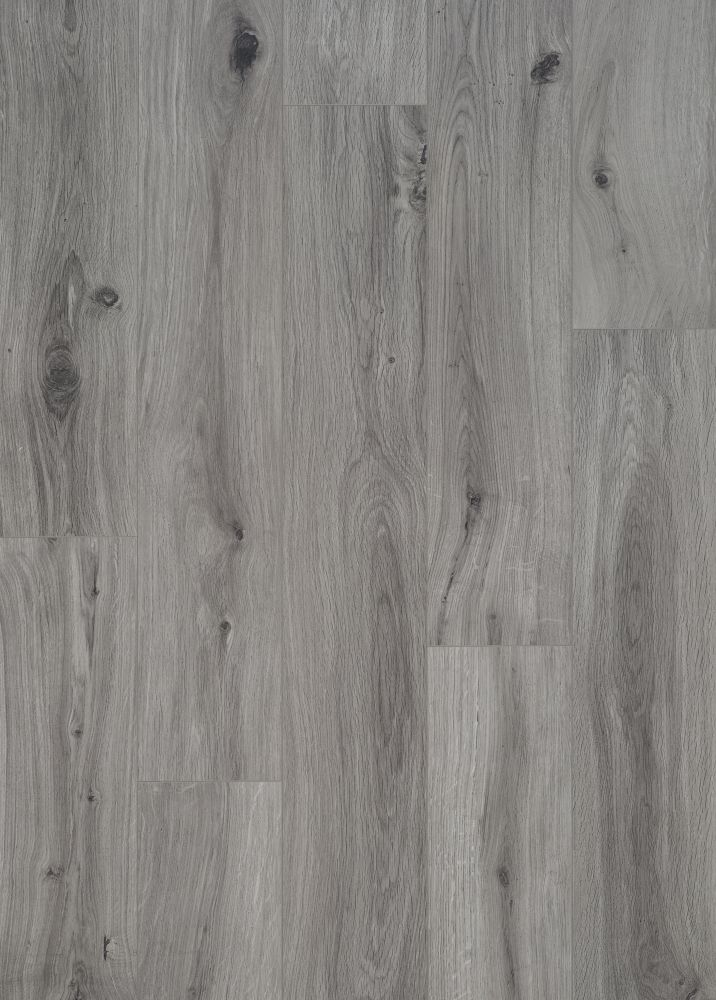 OCEAN PLUS 8V4  B4104 GYANT LIGHT GREY (2,20250)