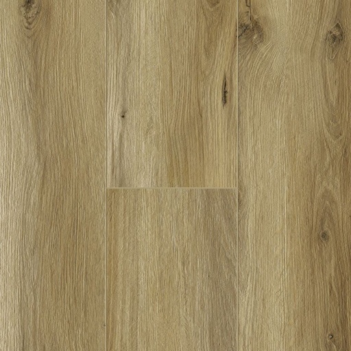 Плитка для підлоги OLD REDWOOD EWH-7045 PEAK (2,488)