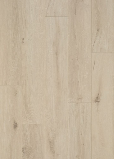 Панелі для підлоги ламіновані з ДПСГ OCEAN PLUS 8V4  B4123 GYANT LIGHT SAND (2,20250)